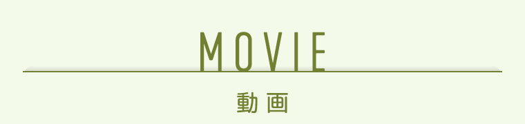 MOVIE 動画