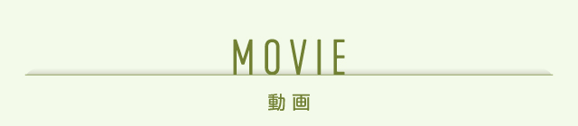 MOVIE 動画
