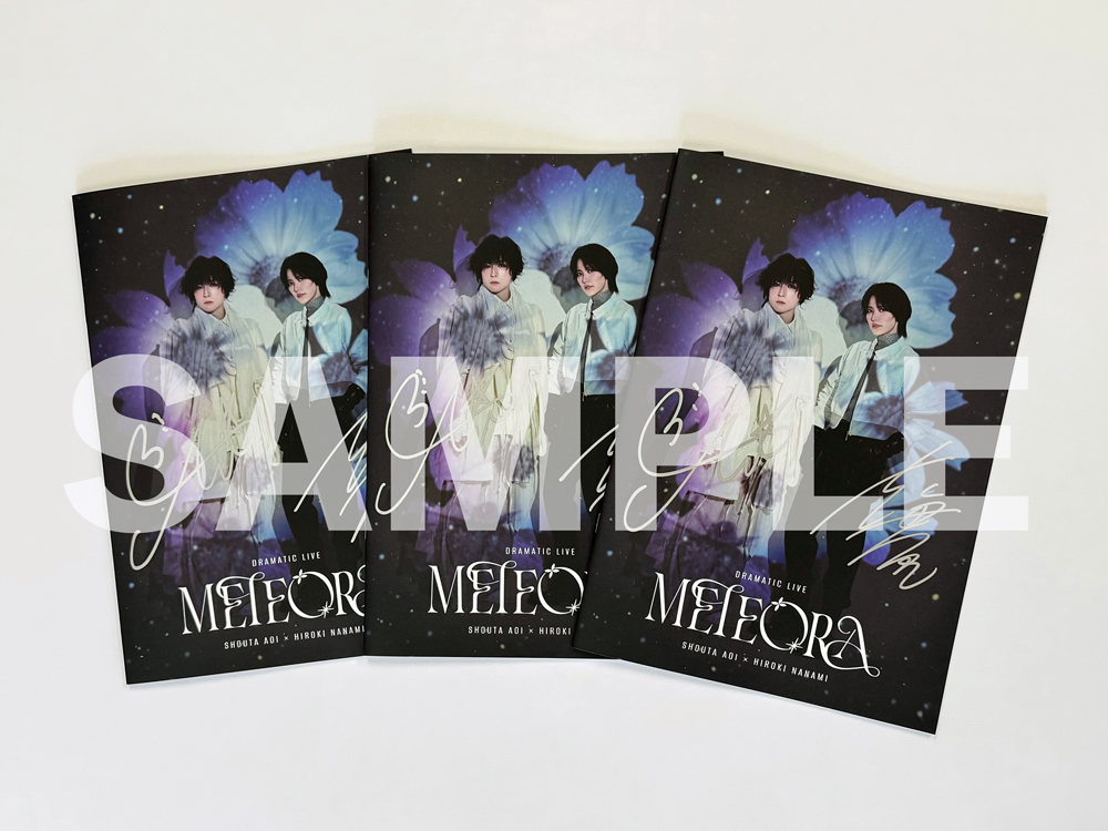 直筆サイン入りライブパンフレット