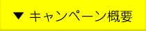 キャンペーン概要